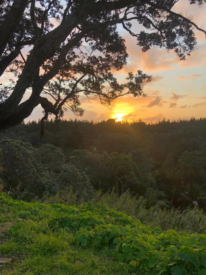 Muriwai Lodge Dış mekan fotoğraf
