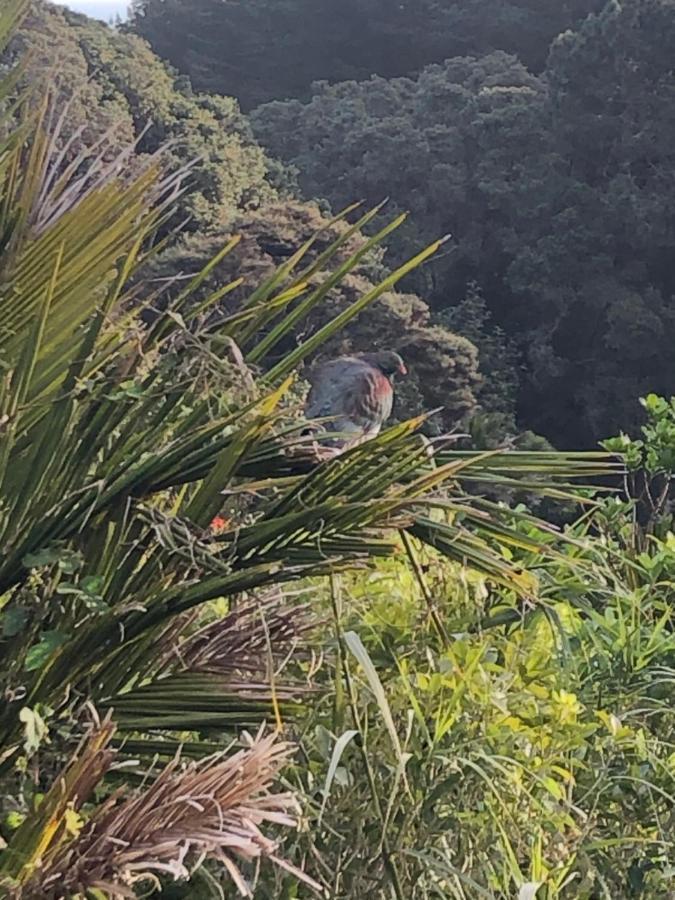 Muriwai Lodge Dış mekan fotoğraf